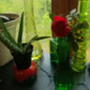 Meet your Posher, Ruthie